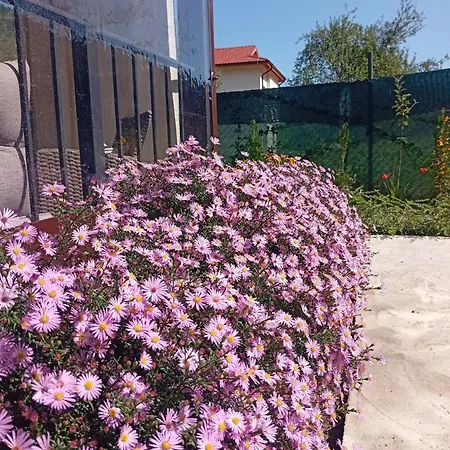 къща горски чар *